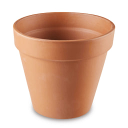 Italian Terracotta Pot