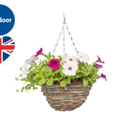 Rattan Hanging Basket