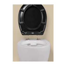 Black Toilet Seat