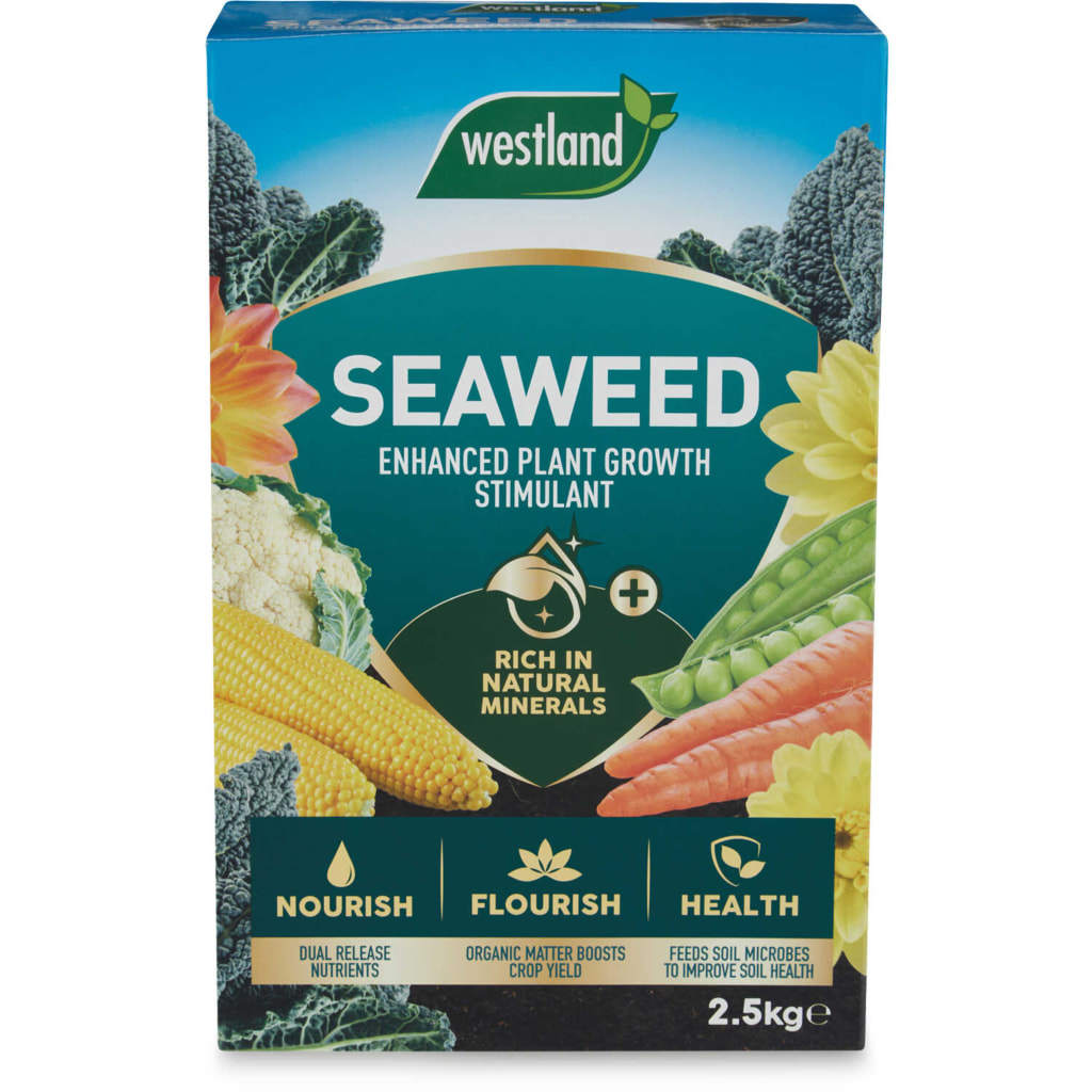 Seaweed  Enhanced Plant Feed