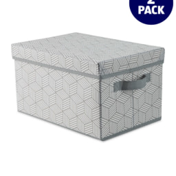 Abstract Foldable Storage 2 Pack