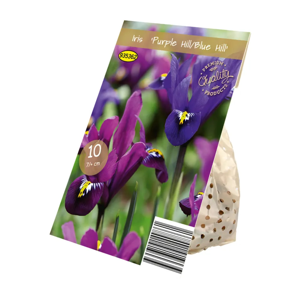 Premium Spring Flowering Bulbs