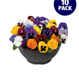 Autumn Bedding 10 Pack