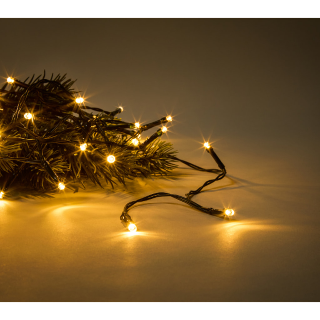 LIVARNO - 100 LED String Lights