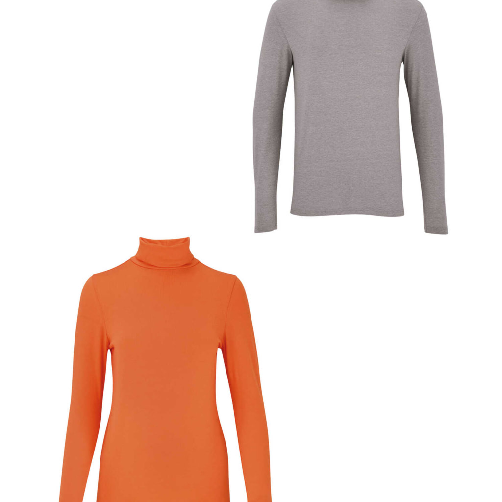 Crane Ladies Ski Roll Neck Top