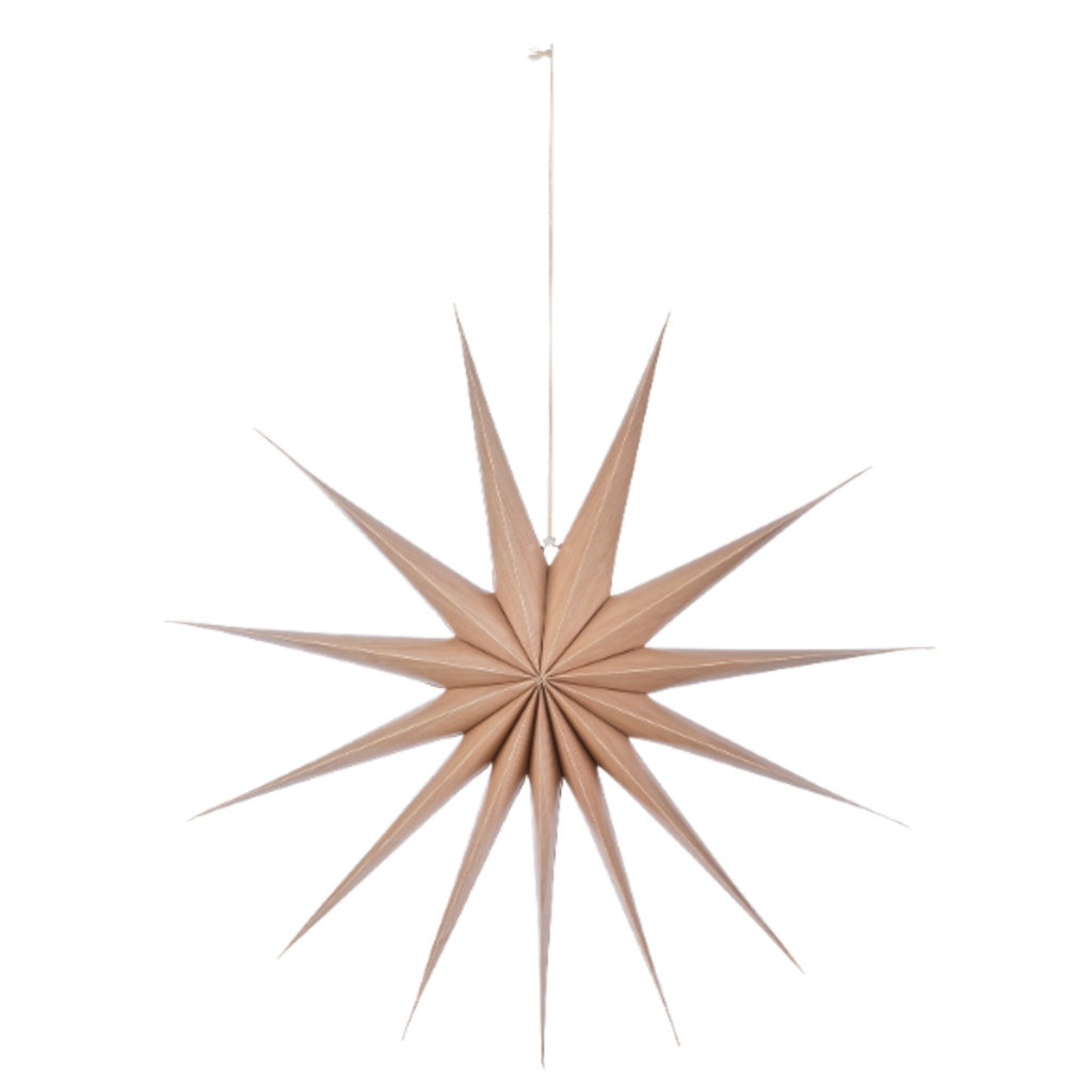 LIVARNO - LED Christmas Star Lantern