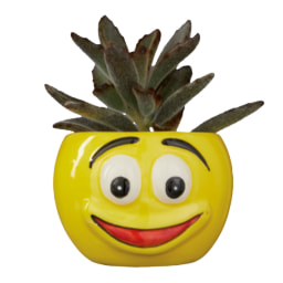Succulent in Emoji Ceramic