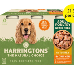 Harringtons Poultry Wet Dog Food Cans