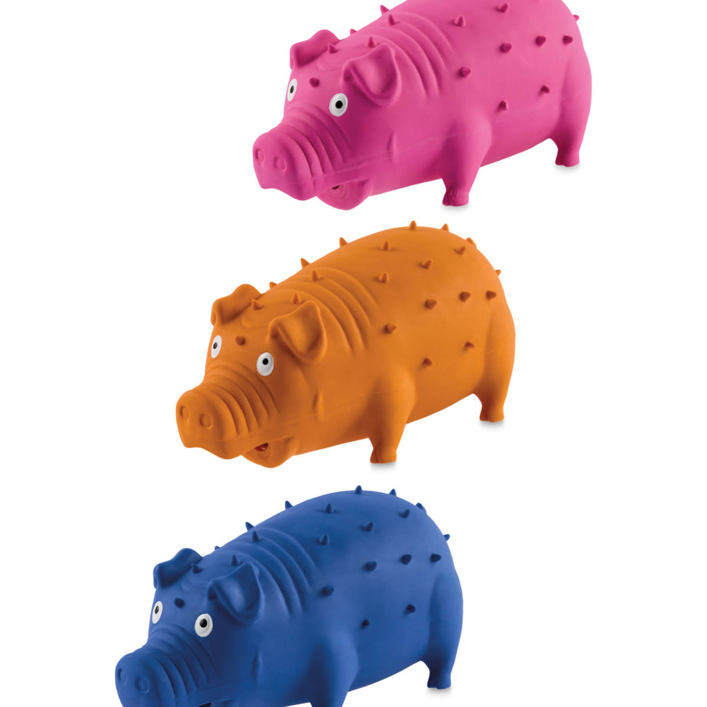 Squeaky Dog Toy