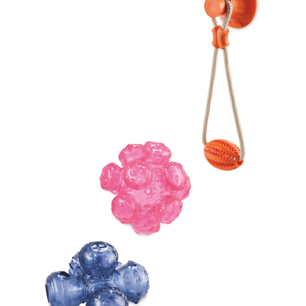 Dog Toy