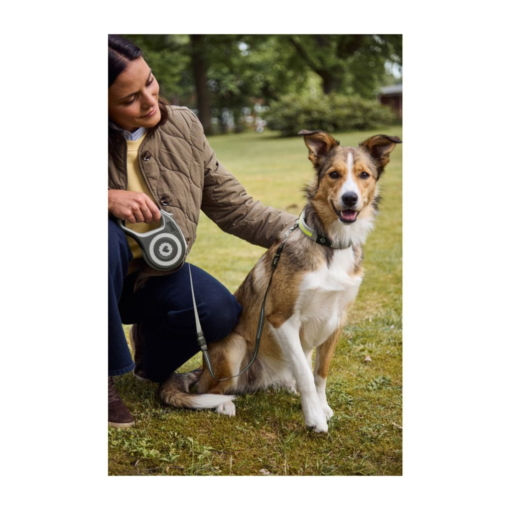 Retractable Dog Lead