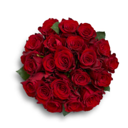 20 Classic Red Roses