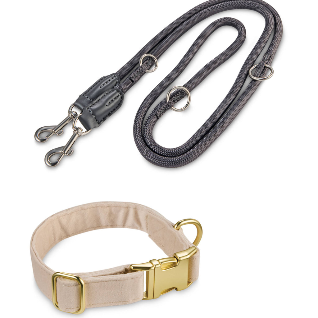 Dog Collar/Lead