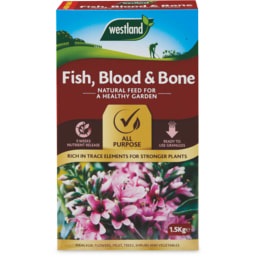 Westlands Blood Fish Bone