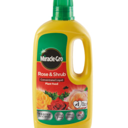Miracle-Gro Plant Feed