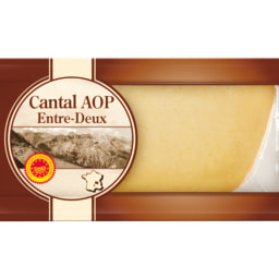 Cantal AOP Cheese