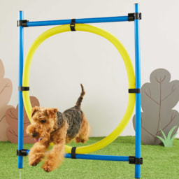 Pet Collection Hoop Agility Set