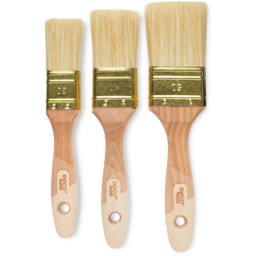 Professional Emulsion Brush Set