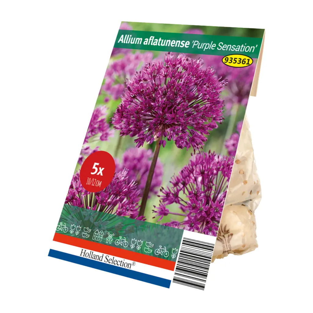 Spring Flowering Bulbs