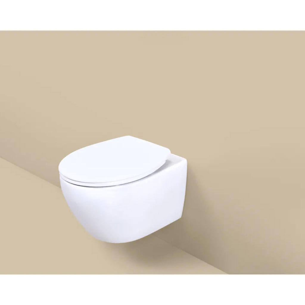 White Toilet Seat