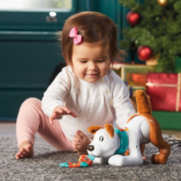 Fisher-Price Crawl After Me Puppy