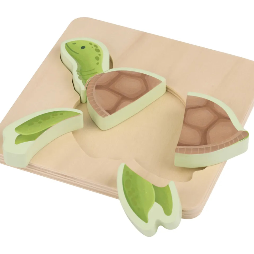 Turtle First Puzzle