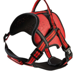 Red Reflective Trim Harness