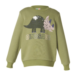 Kids’ Green Sweatshirt With Dinosaur Design