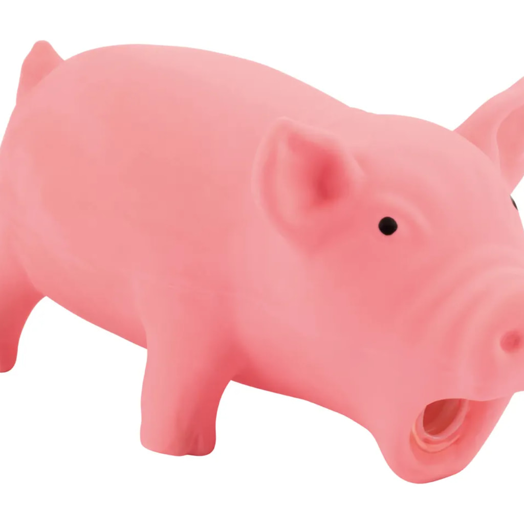 Pig Dog Toy