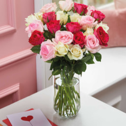 Double Dozen Romantic Roses