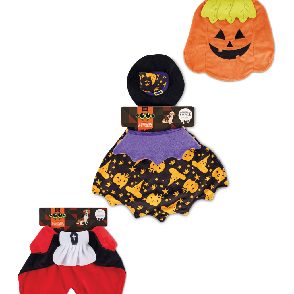 Halloween Pet Costume