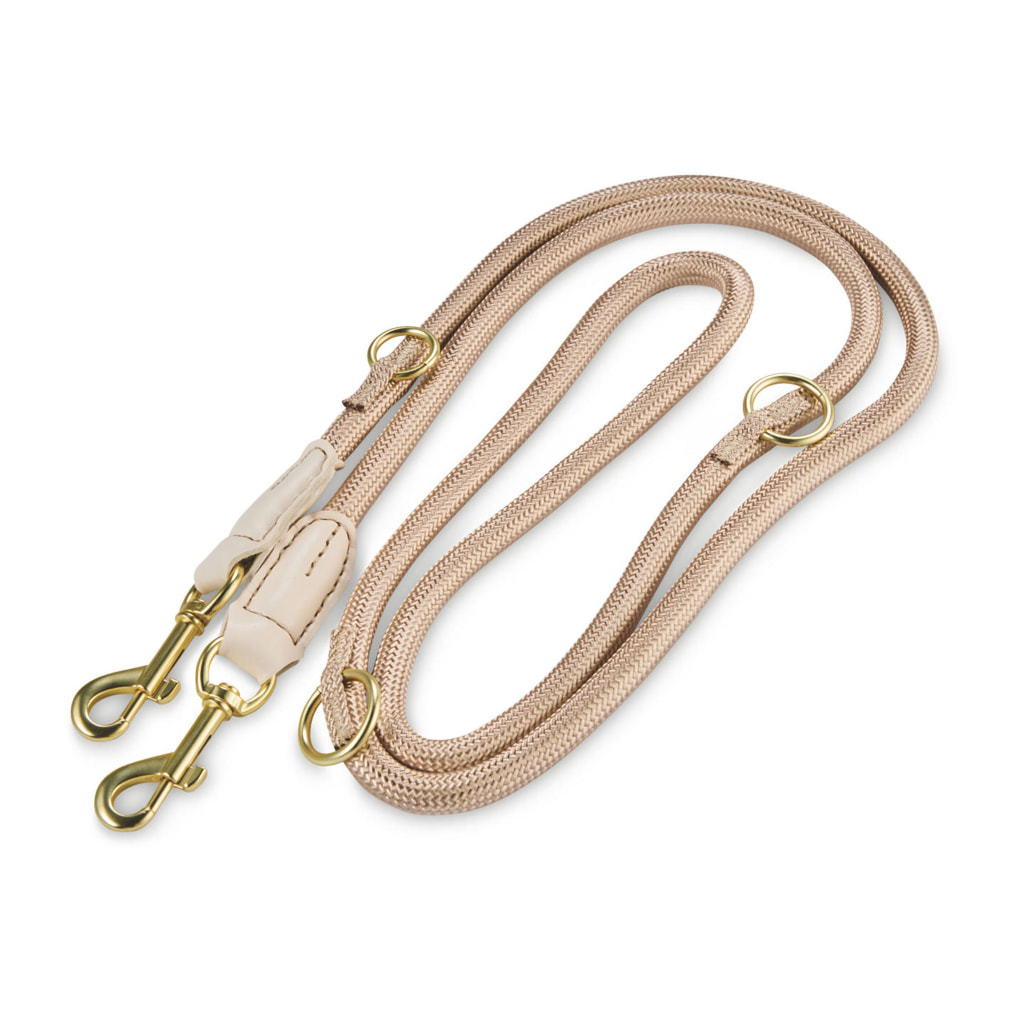 Dog Collar/Lead