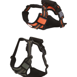 Pet Collection Dog Harness