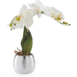 Silver Pot Artificial White Orchid
