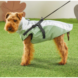 Dog Coat with Harness