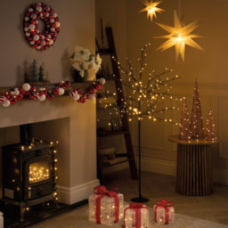 3D Bright Star