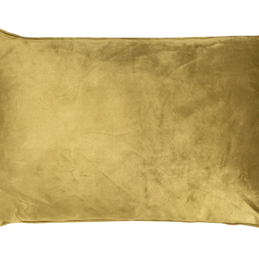 Mustard Yellow Cushion