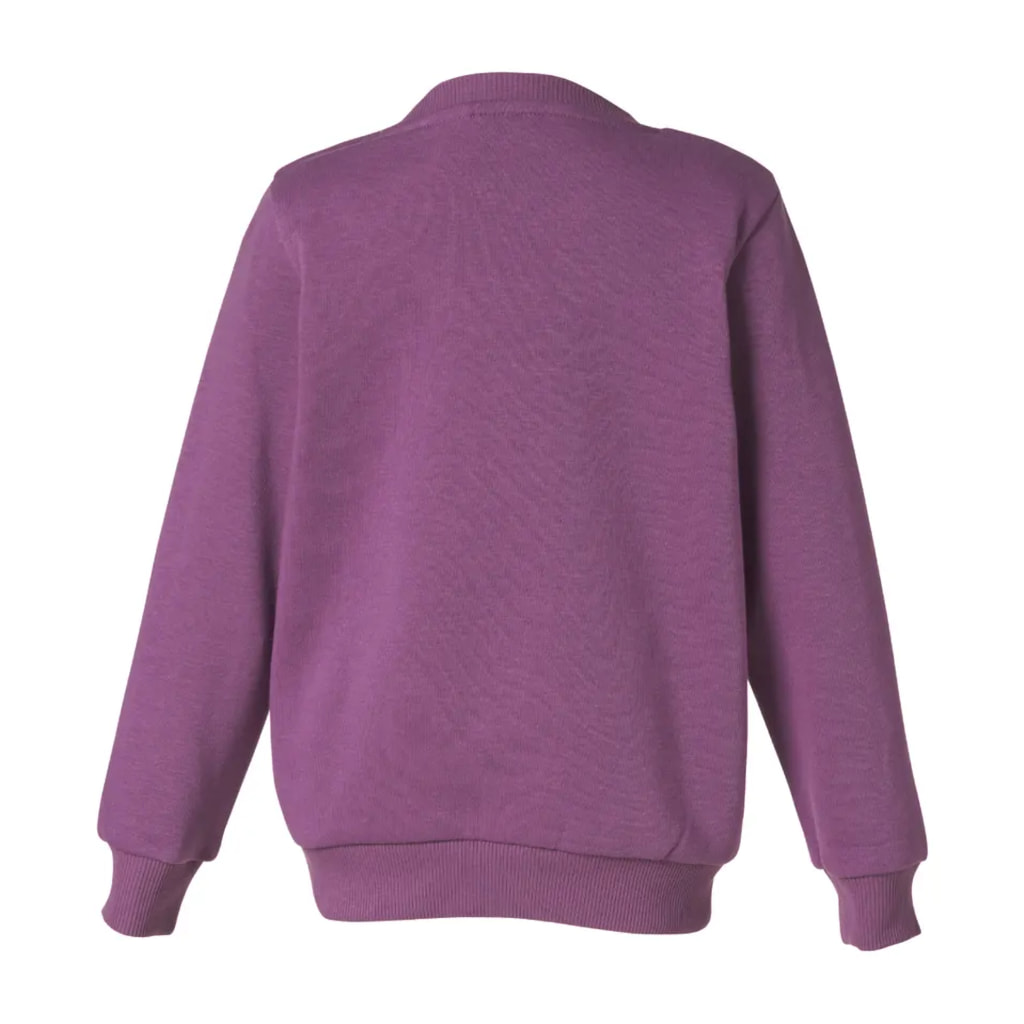 Kids’ Purple Sweatshirt With Rainbow Design