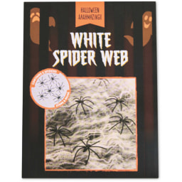 Halloween Web with 6 Spiders