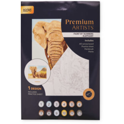 Elephant Paint By Numbers Set