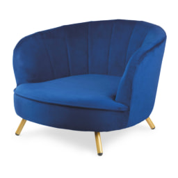 Royal Blue Scallop Dog Chair