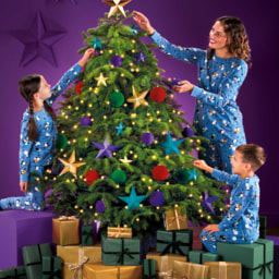 Large Nordman Fir Christmas Tree