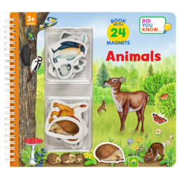 Kids’ Magnetic Book