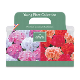 Young Plant Collection