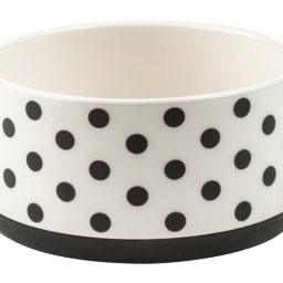 Zoofari Ceramic Pet Bowls