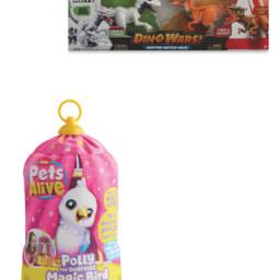 Dino Wars/Magic Bird