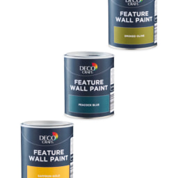 Deco Craft Feature Wall Paint