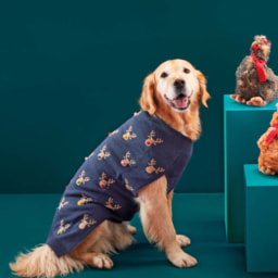 Dog Christmas Jumpers XS-M
