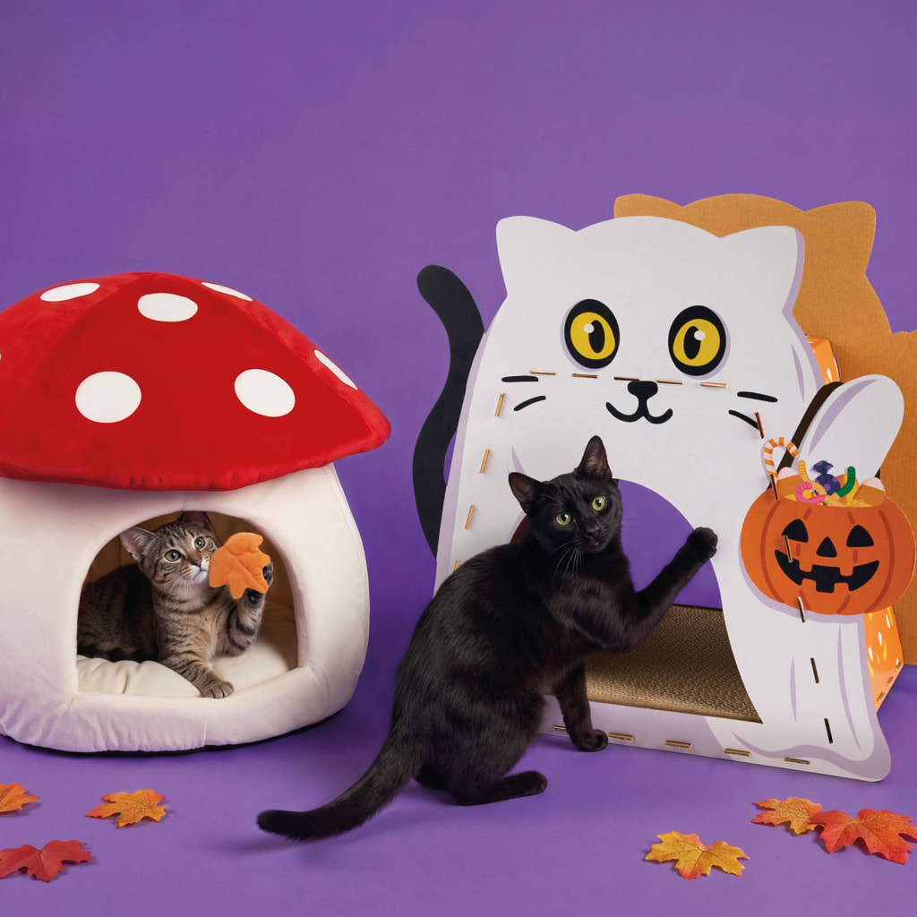Halloween Cat Scratching House
