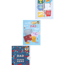 Father's Day Large Cards/Gift Bags